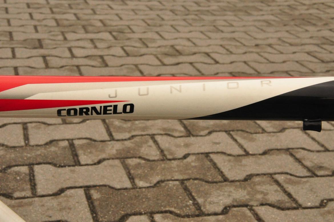 Cornelo Junior 650C billede 17