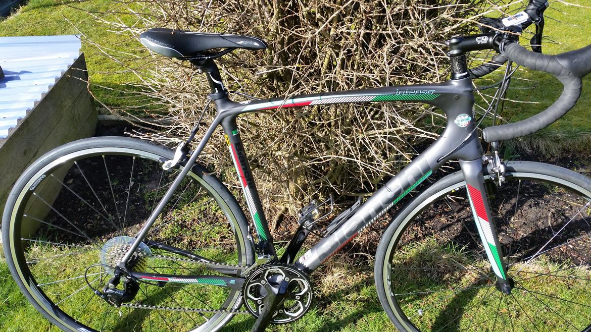 Bianchi intenso billede 1