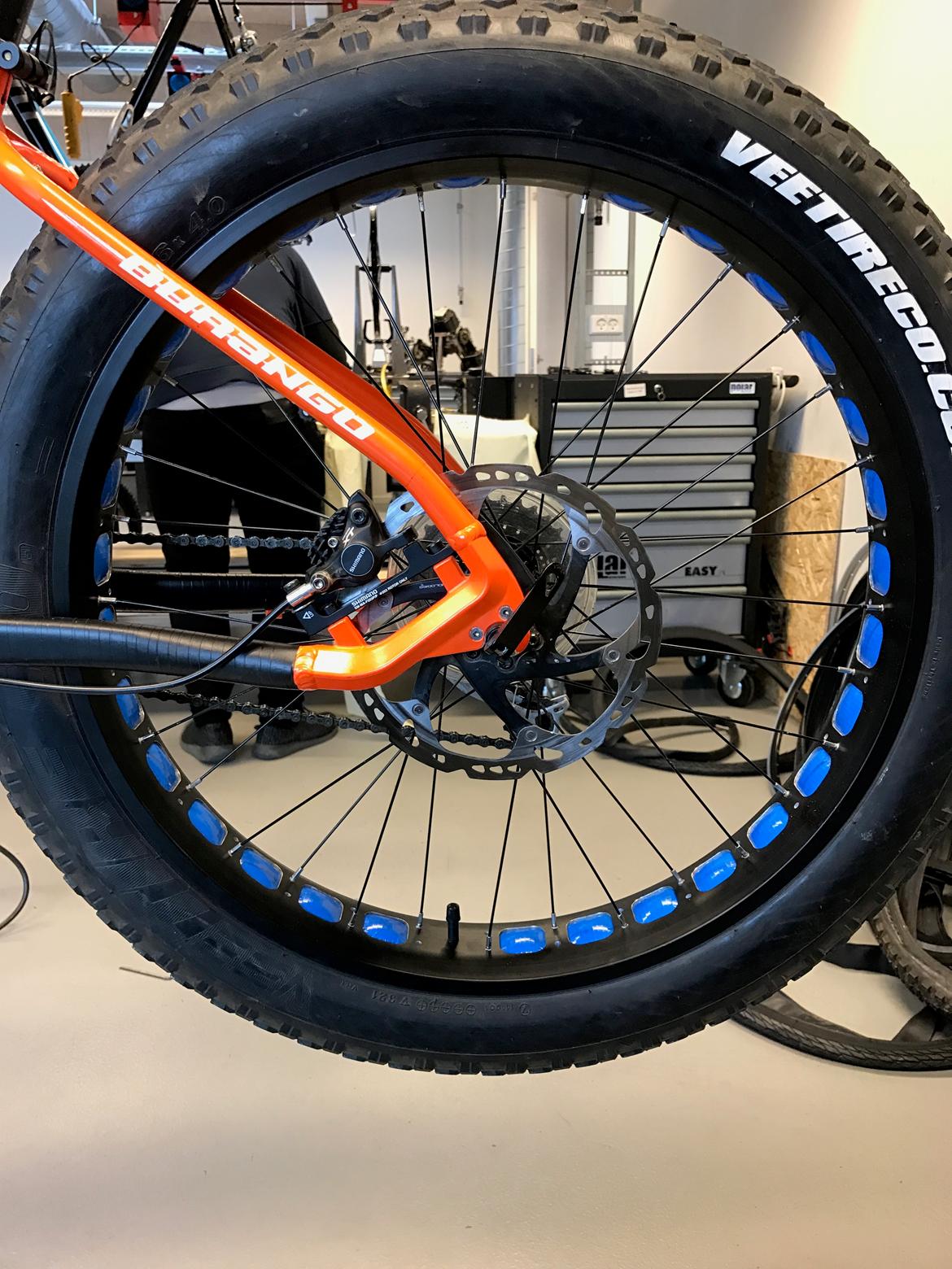 nishiki fat bike