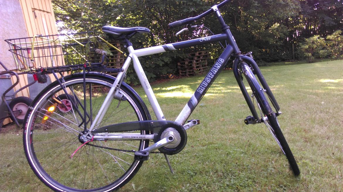 Mustang Nice billede 3