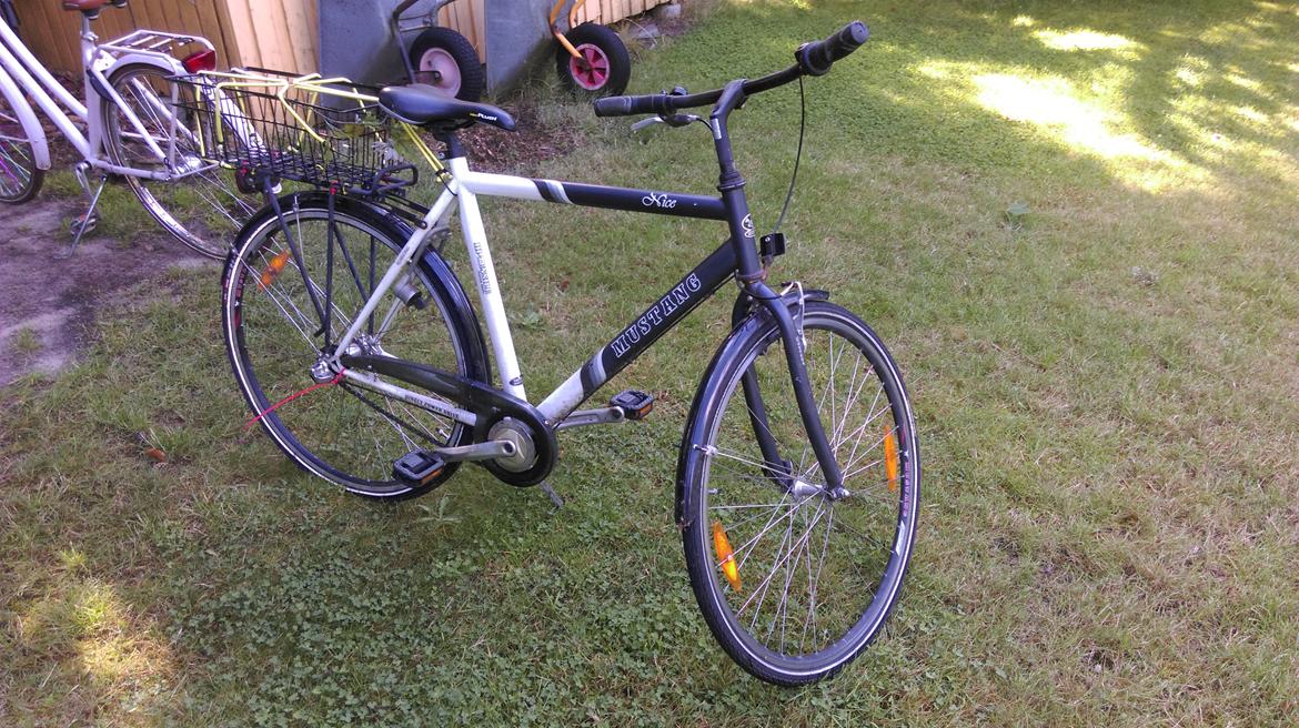 Mustang Nice billede 4