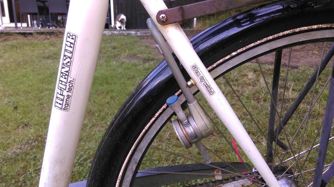 Mustang Nice billede 7