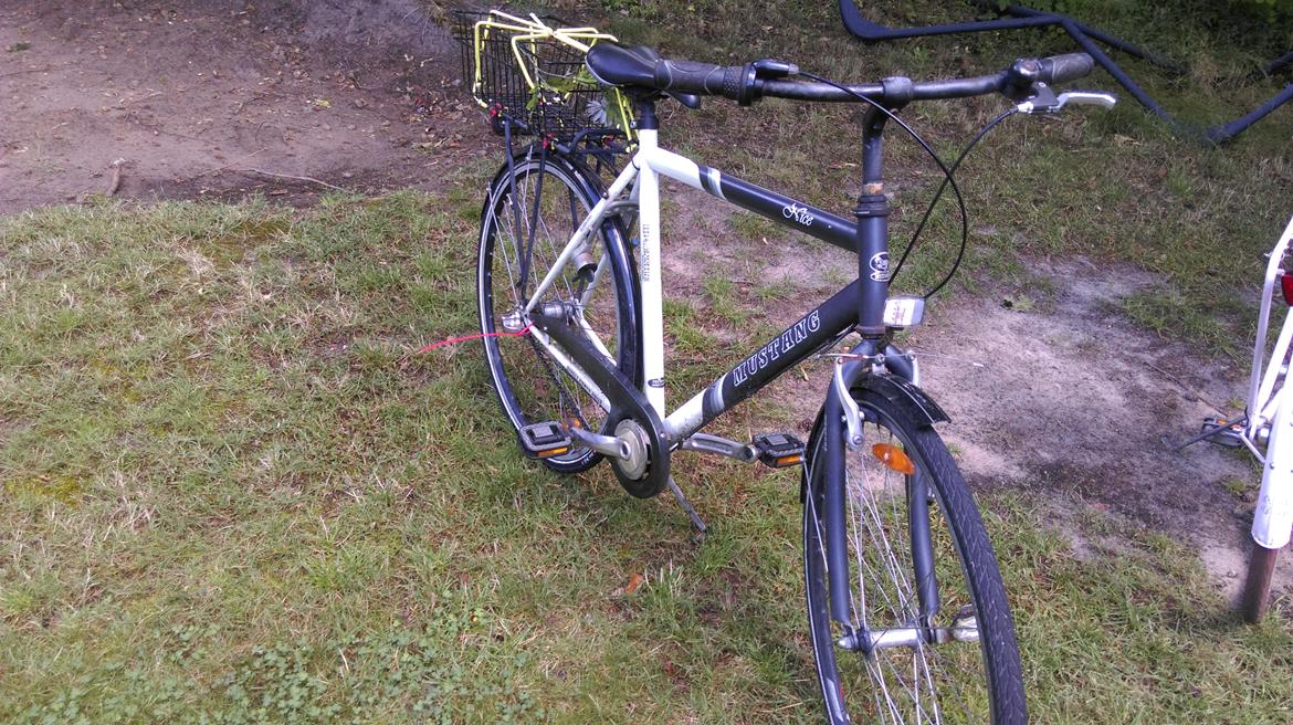 Mustang Nice billede 9