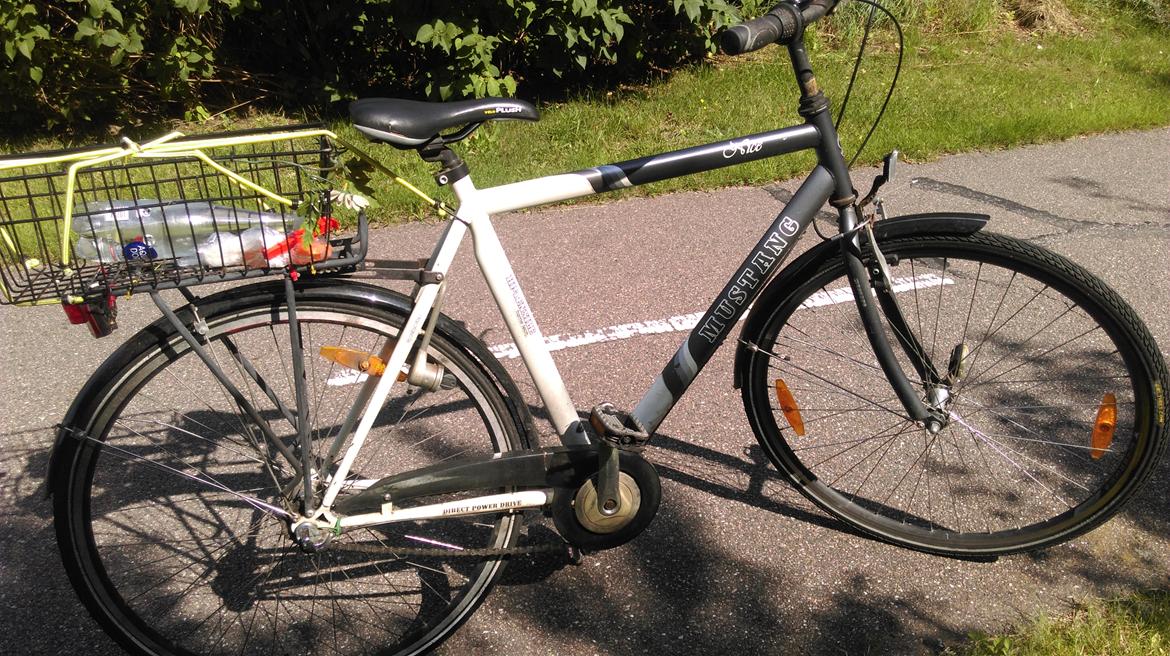 Mustang Nice billede 12