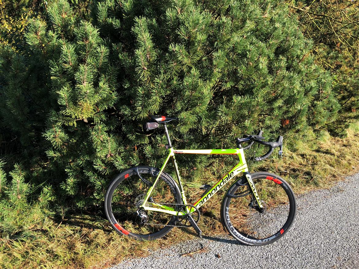 Cannondale CAAD12 DISC FORCE 1 billede 14