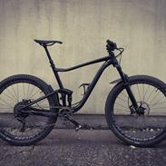 Giant Anthem 1 Custom trail