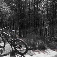 Giant Anthem 1 Custom trail