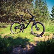 Giant Anthem 1 Custom trail