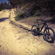 Giant Anthem 1 Custom trail