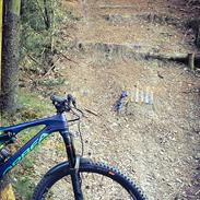 Orbea Rallon Custom