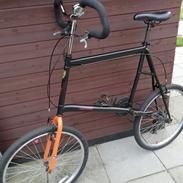 No-Name Custom mini Tall Bike