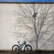 Orbea Rallon R5 Selvbyg