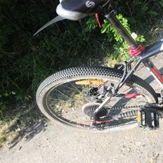 Cannondale trail 5