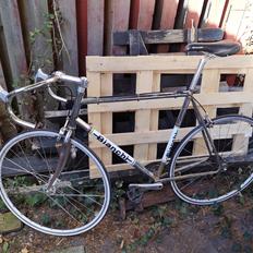 Bianchi Pista Chromeo