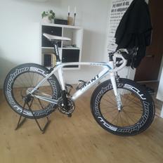 Giant TCR Composite 2