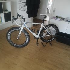 Giant TCR Composite 2