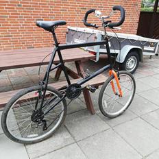 No-Name Custom mini Tall Bike