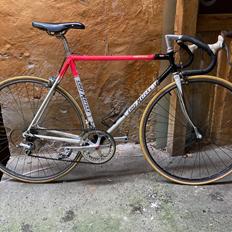 Eddy Merckx Retro