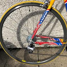 Trek Lance Armstrong special editon.
