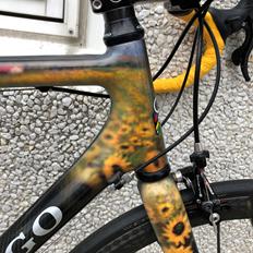 Colnago crystelo sonflauer.
