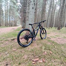 Canyon Spectral 29 CF7