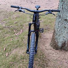 Canyon Spectral 29 CF7