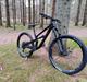 Canyon Spectral 29 CF7