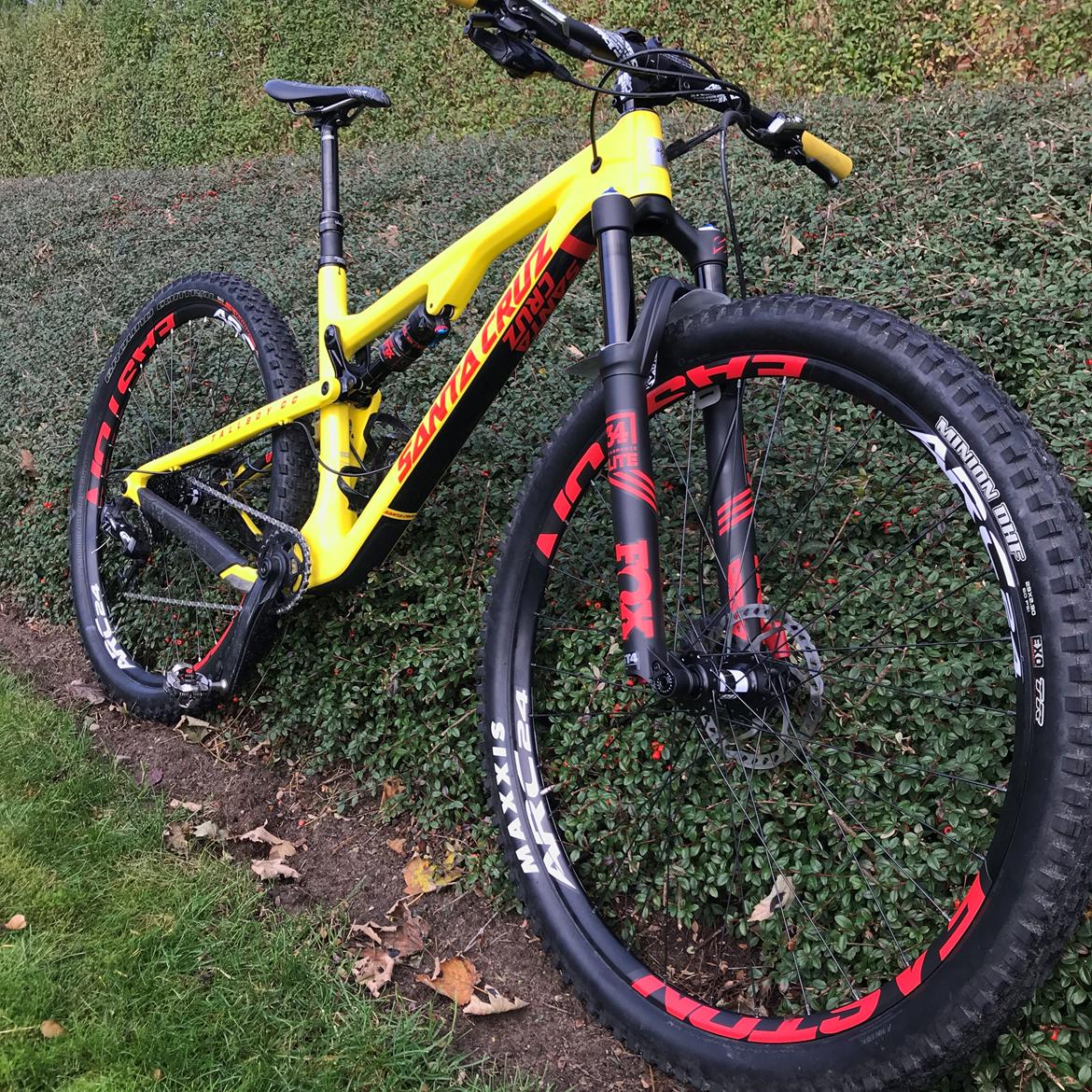 Santa Cruz Tallboy 3 CC - custom billede 8