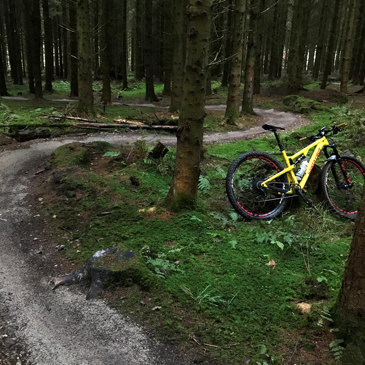 Santa Cruz Tallboy 3 CC - custom billede 15