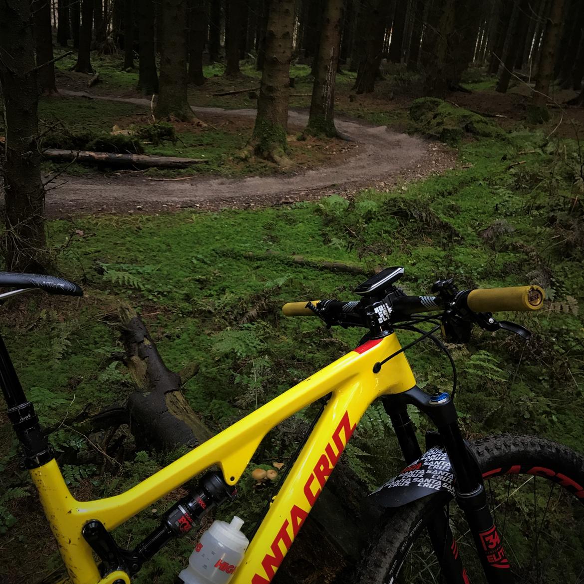 Santa Cruz Tallboy 3 CC - custom billede 19