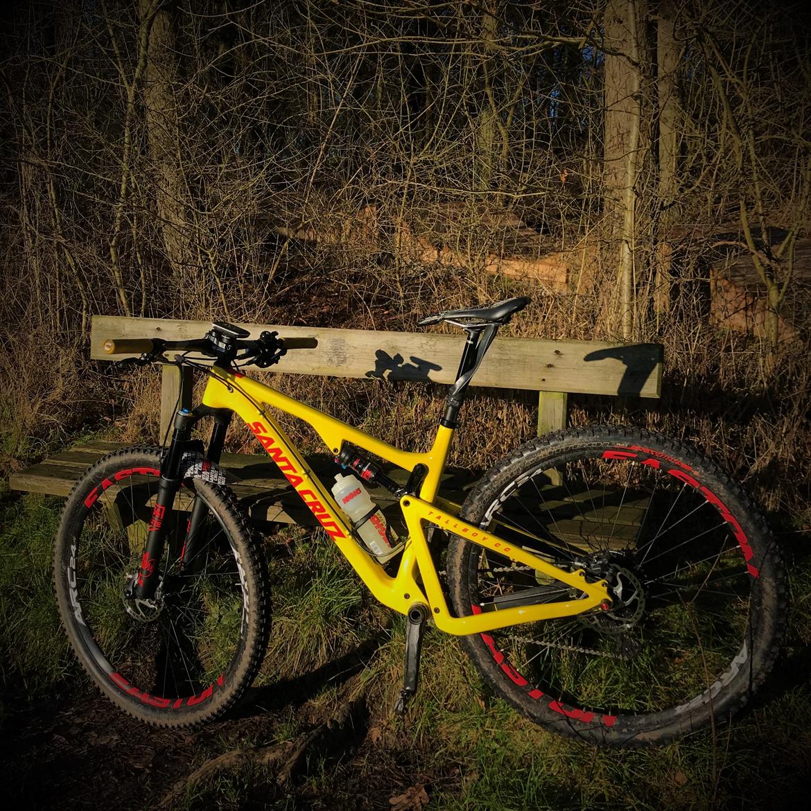 Santa Cruz Tallboy 3 CC - custom billede 10