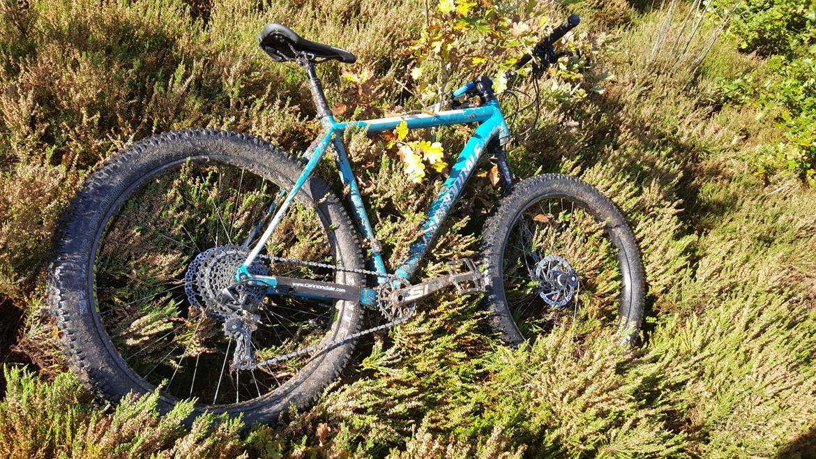 Cannondale BEAST OF THE EAST 1  billede 22
