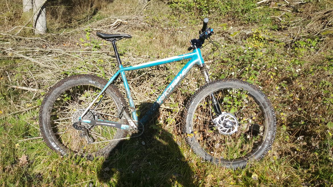 Cannondale BEAST OF THE EAST 1  billede 29