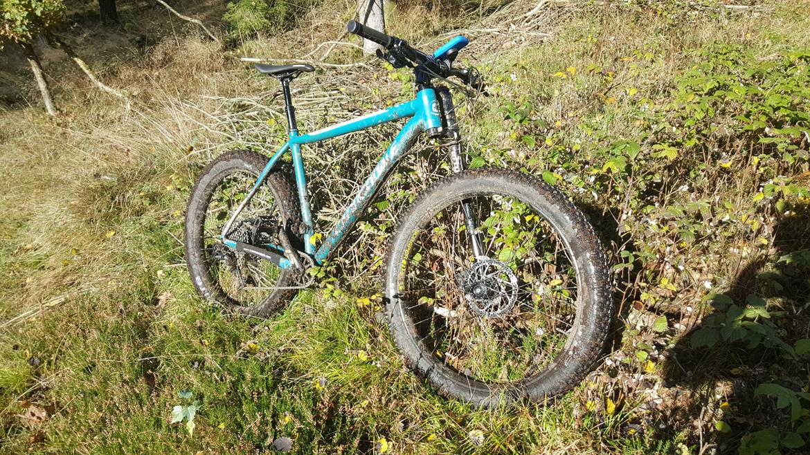 Cannondale BEAST OF THE EAST 1  billede 30