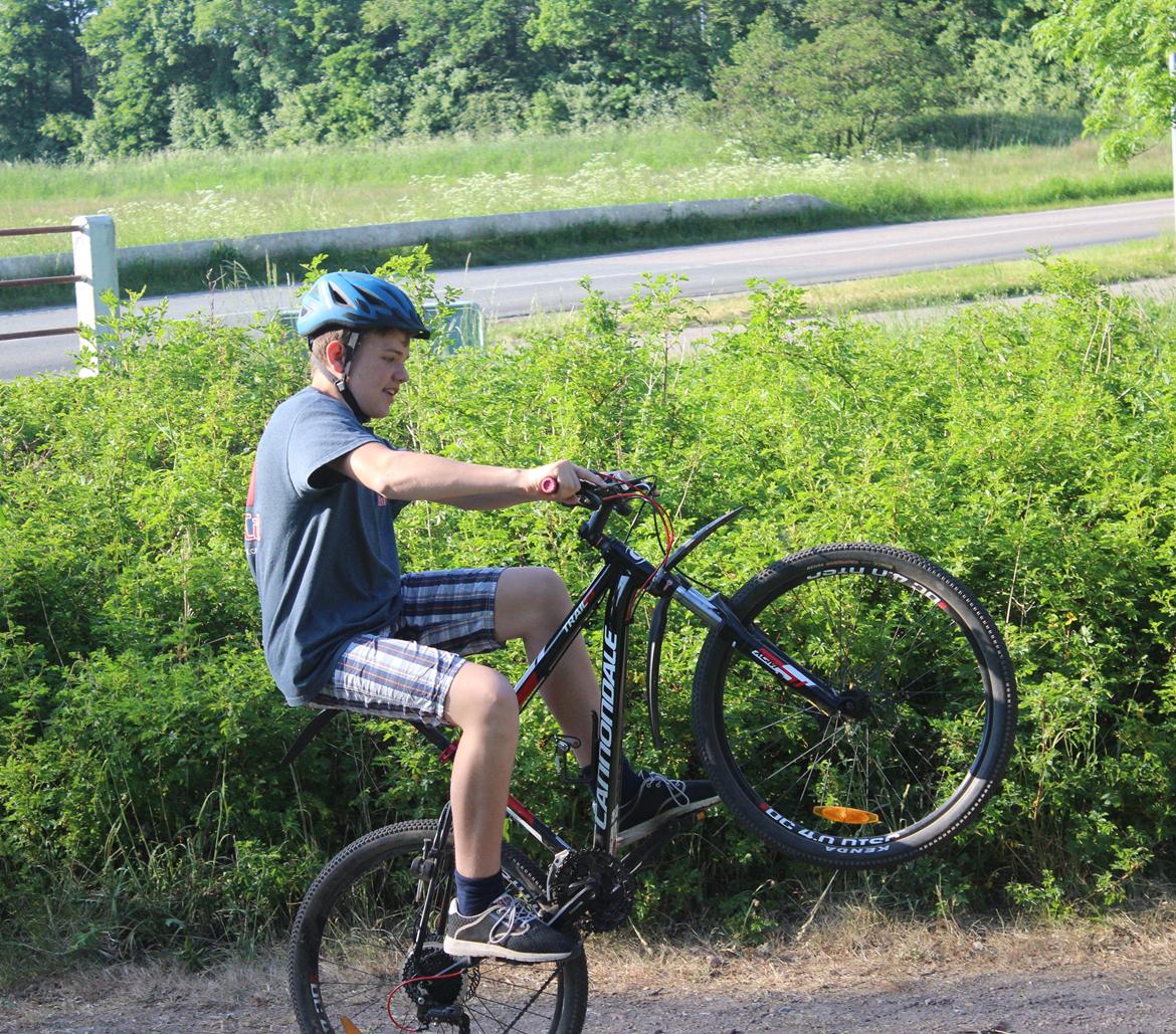 Cannondale trail 5 billede 5