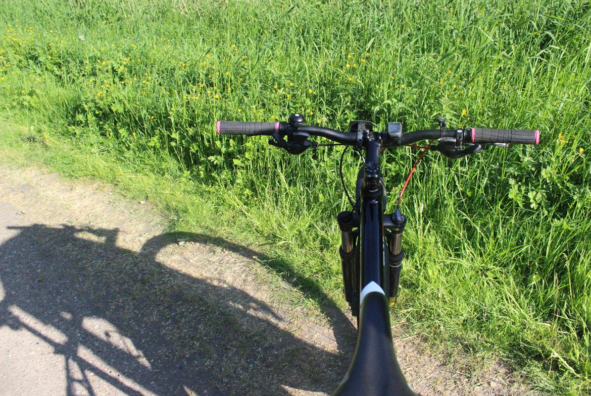 Cannondale trail 5 billede 3