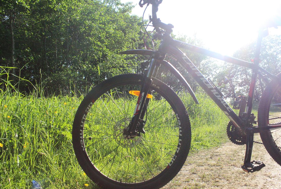 Cannondale trail 5 billede 4