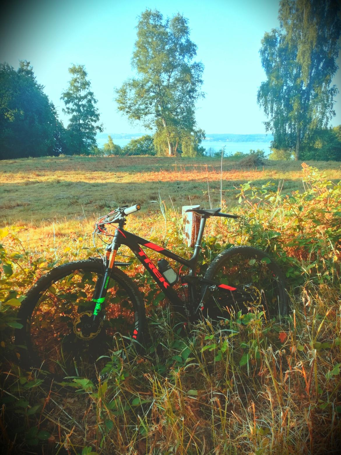 Trek Top Fuel 9.9 RSL Carbon billede 10