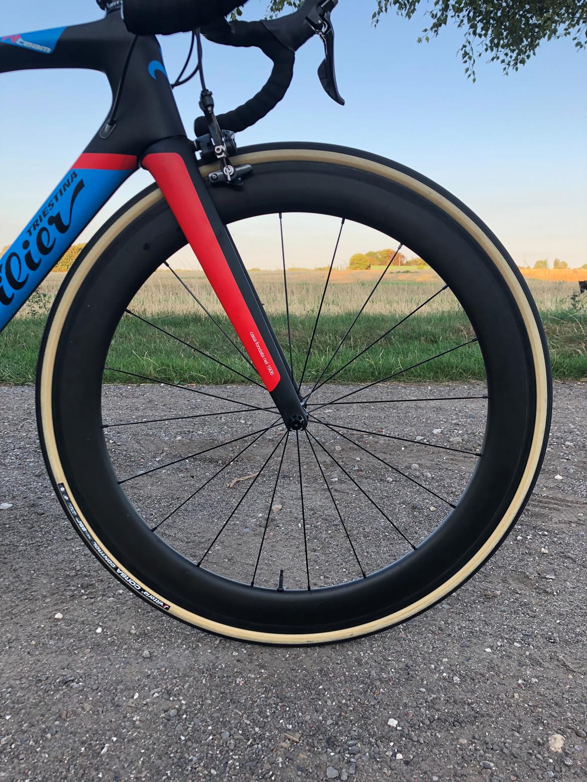 Wilier GTR Team 2018 billede 12