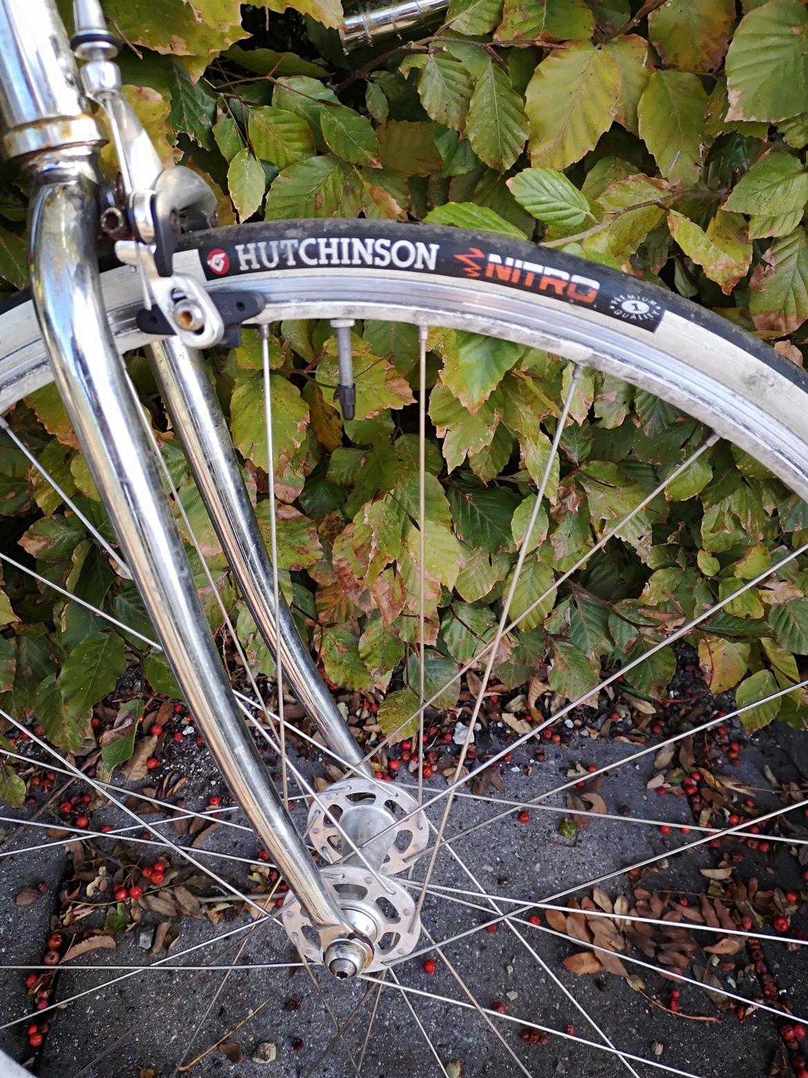 Bianchi Pista Chromeo billede 18