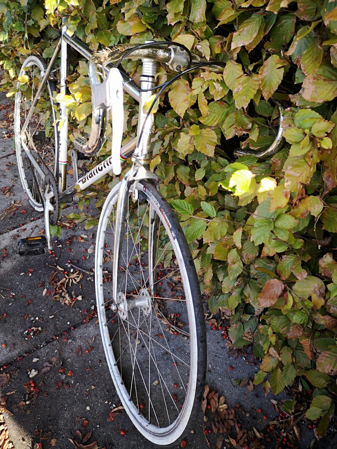 Bianchi Pista Chromeo billede 19