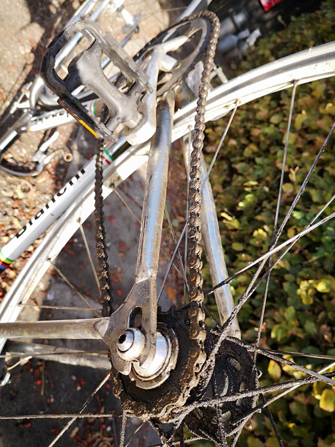 Bianchi Pista Chromeo billede 21