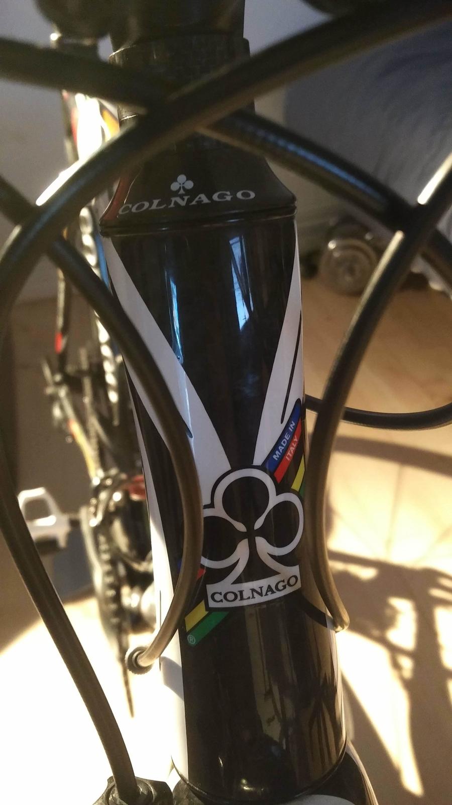 Colnago EPS billede 11