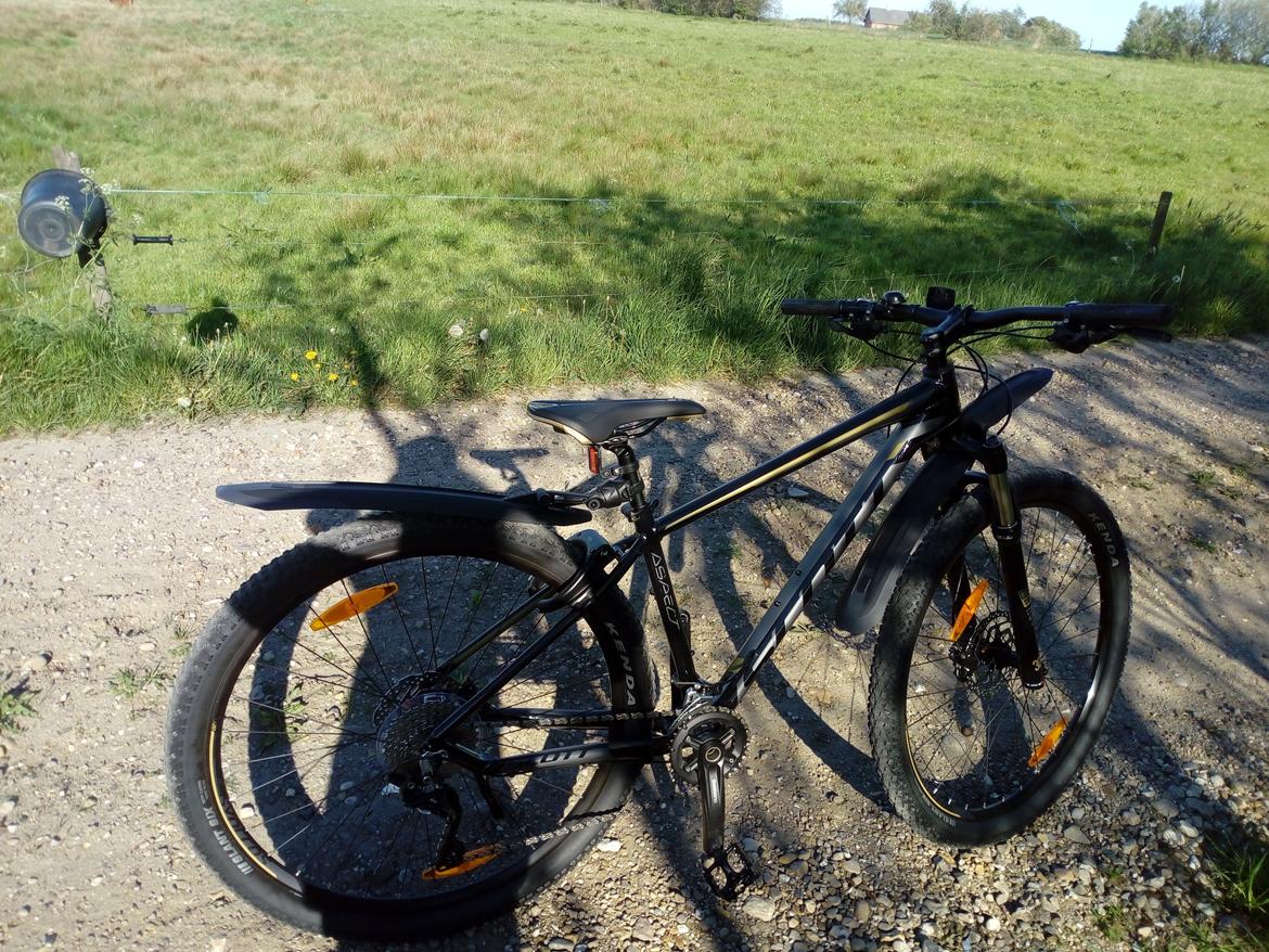 Scott Aspect 910  billede 2