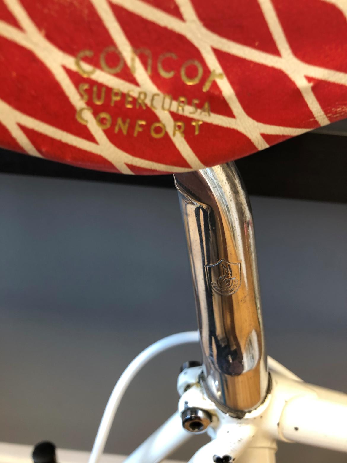 Colnago master krono tt stål ramme. billede 21