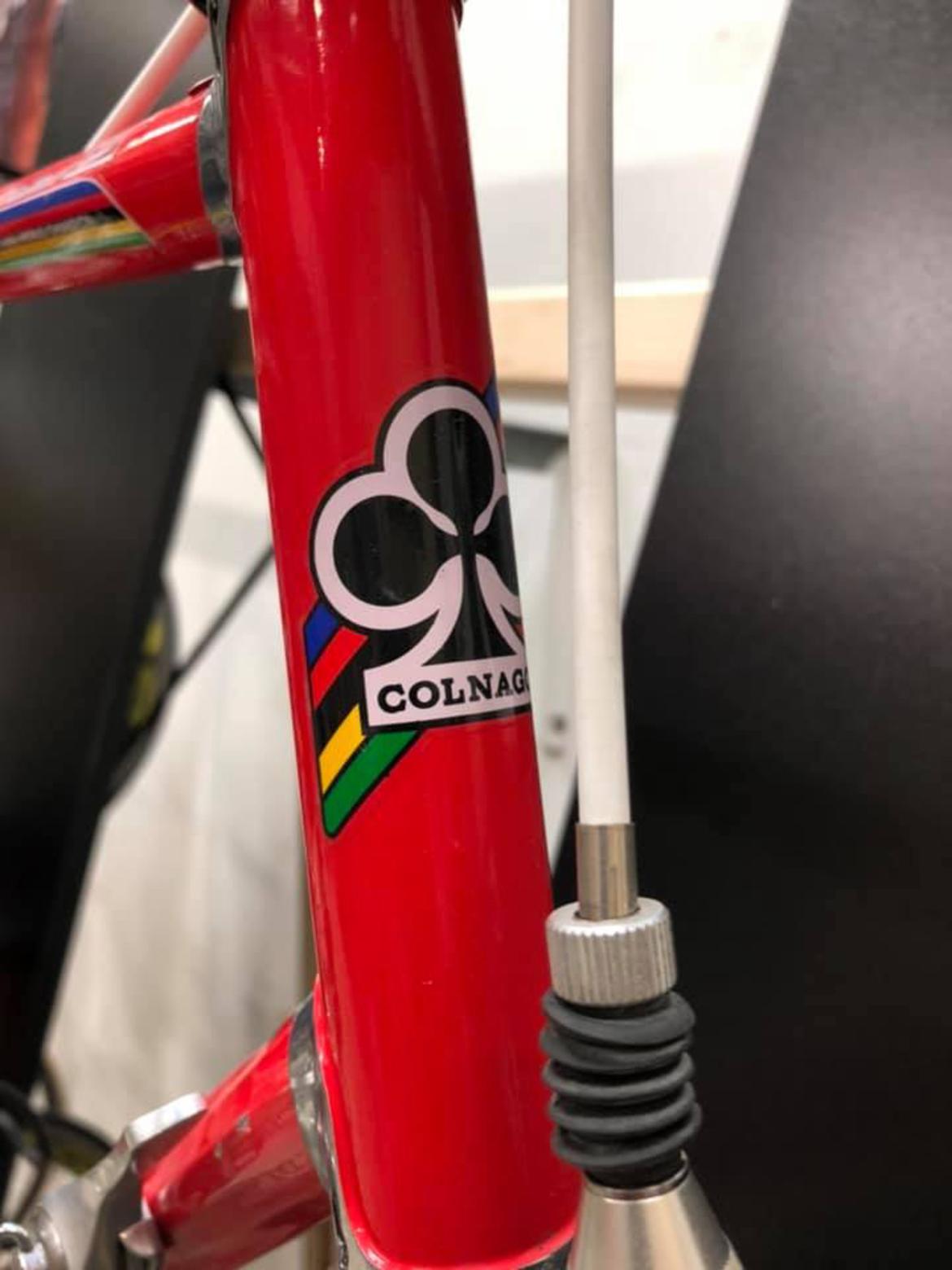 Colnago Master billede 28