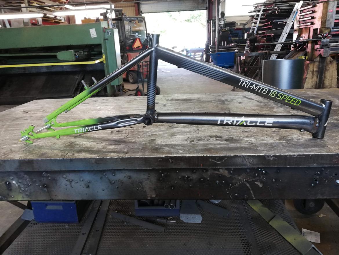 No-Name Custom mini Tall Bike billede 12