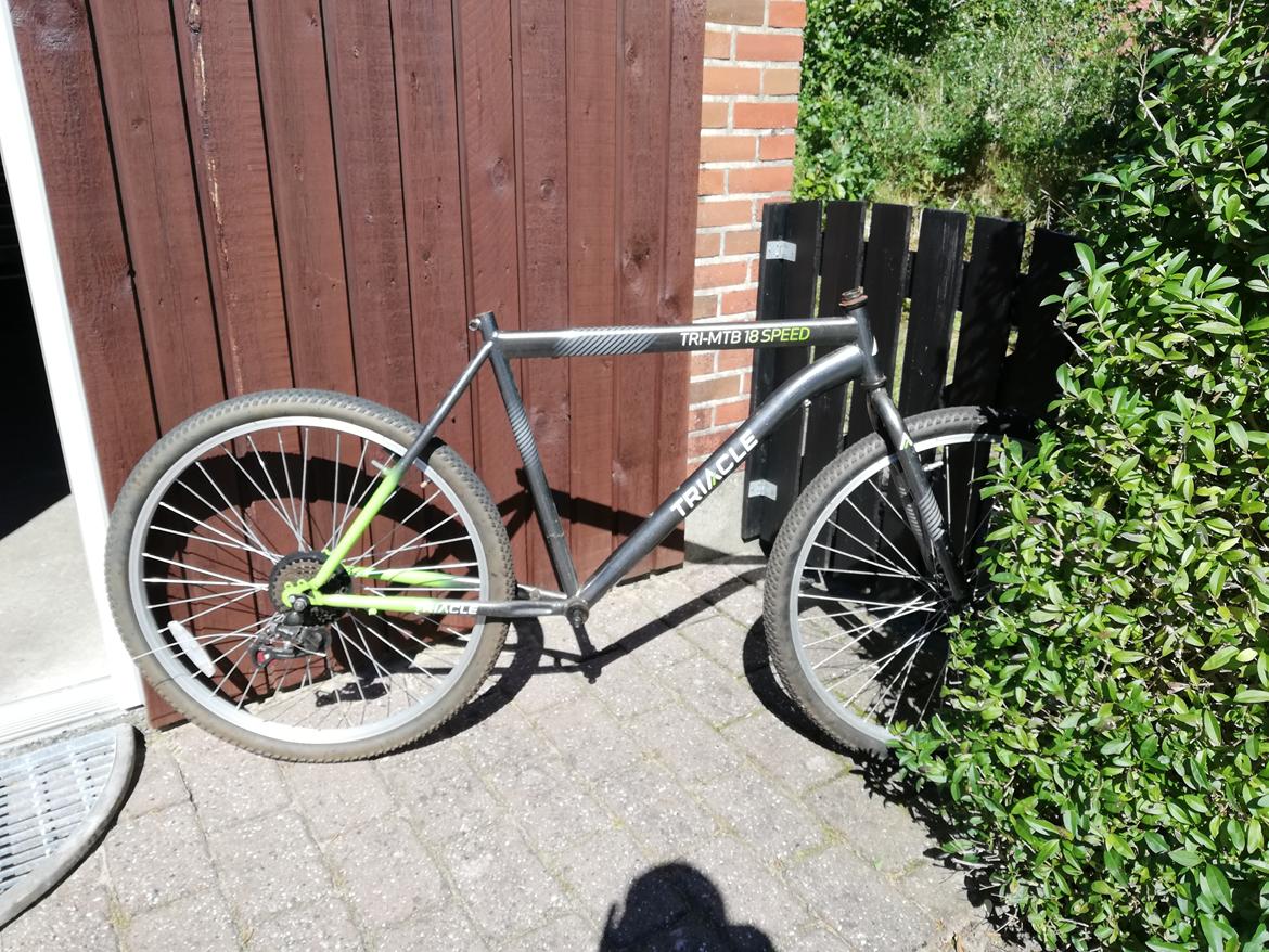 No-Name Custom mini Tall Bike billede 14