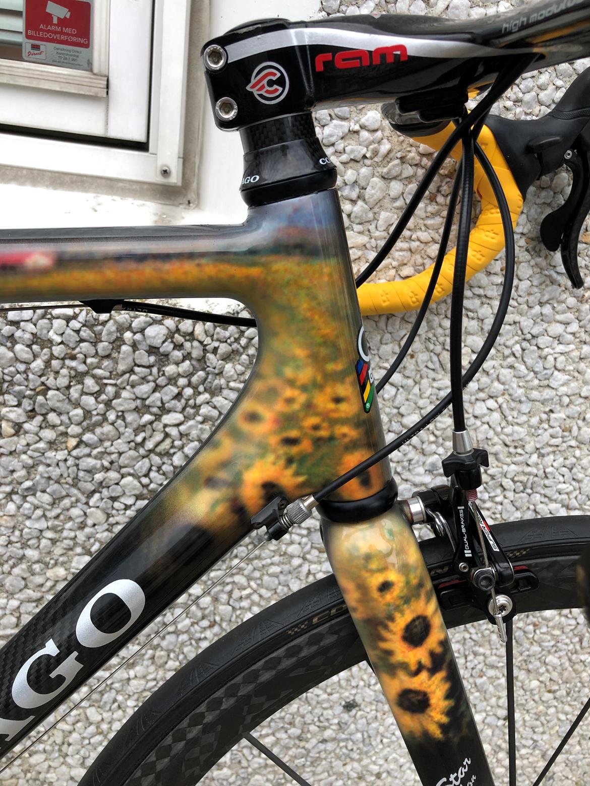 Colnago crystelo sonflauer. billede 3