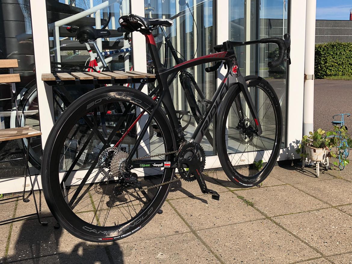 Ridley Noah fast. billede 1